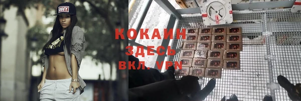 марки lsd Бородино