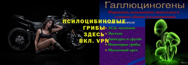марки lsd Бородино