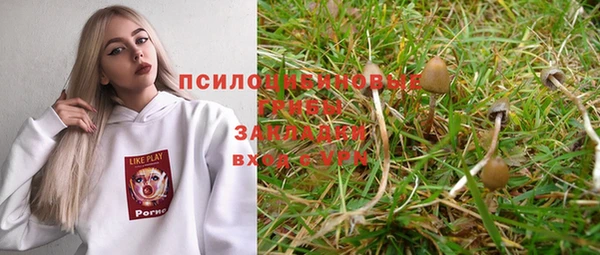 трава Верея