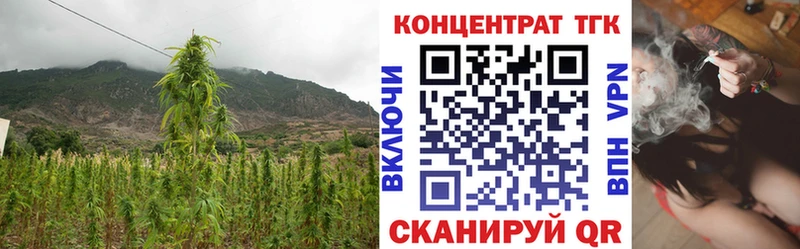 ТГК THC oil  Дмитриев 
