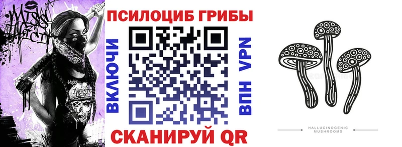Псилоцибиновые грибы Magic Shrooms  ссылка на мегу ссылка  Дмитриев 